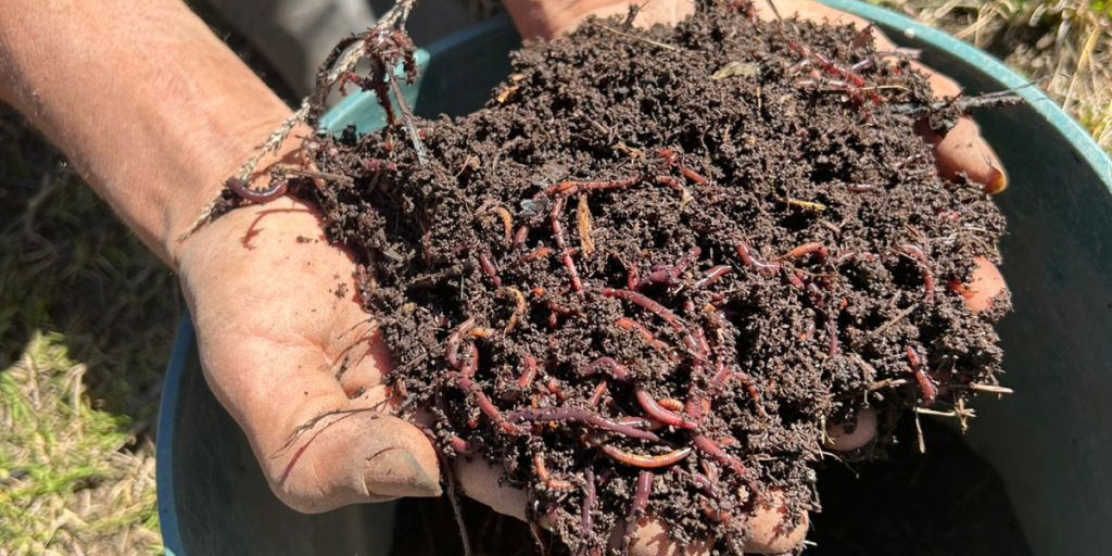 Banner rancho pacaya (1)