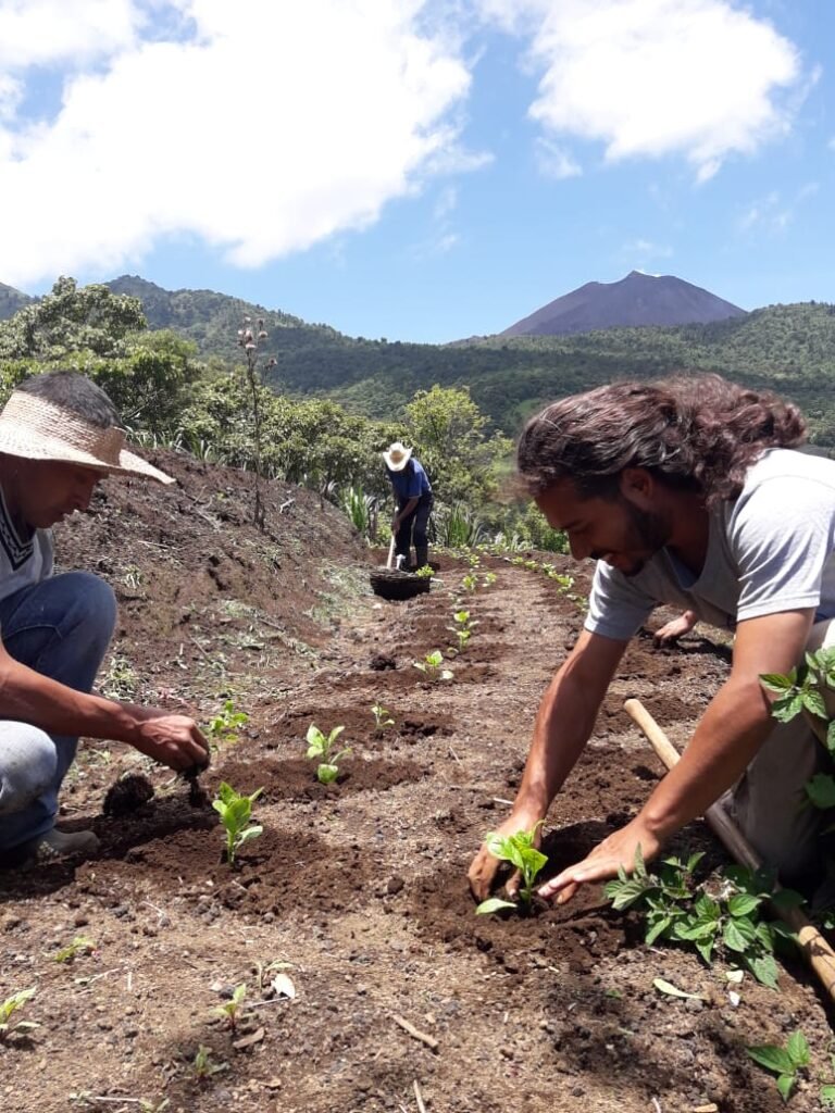 3f8c6e85-142d-4db3-b801-b86bbf58acef