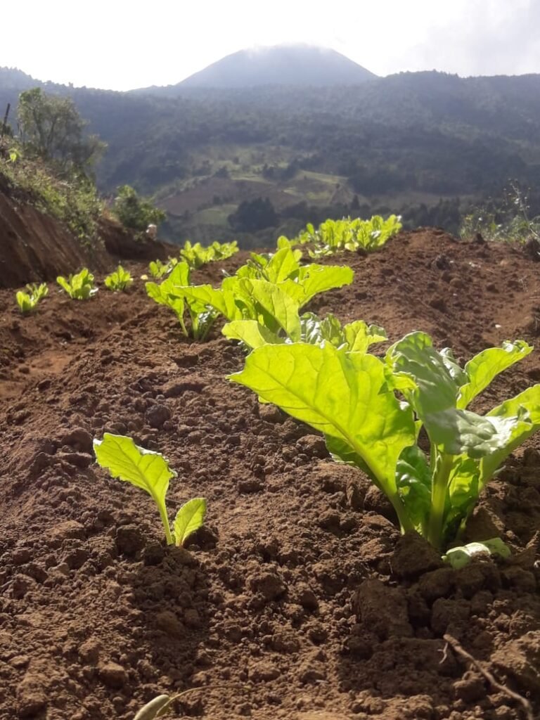 78cda8e0-71e4-4976-94f8-07bbda99bd39